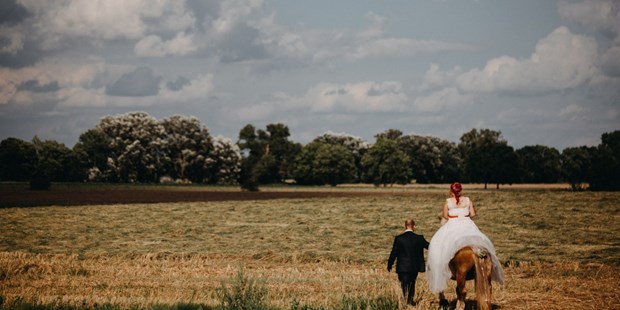 Hochzeitsfotos - Art des Shootings: Fotostory - Die Überraschung für die Braut war ein geschmücktes Pferd zum Fotoshooting. Der Bräutigam hatte diese ausgefallende Idee.  - Fotograf David Kohlruss