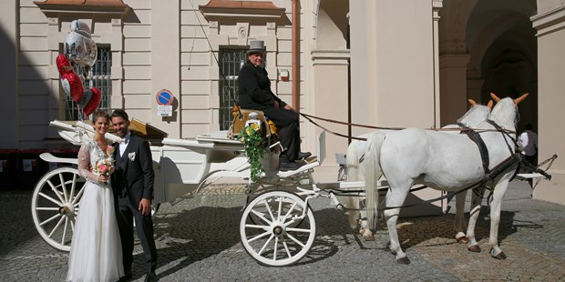 Hochzeitsfotos - Art des Shootings: 360-Grad-Fotografie - Kirchdorf an der Krems - Wolfgang Seifert     WOLFphotography