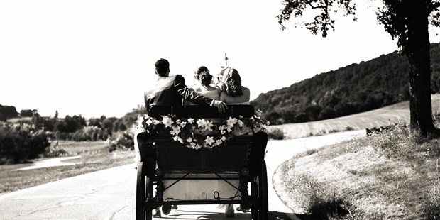 Hochzeitsfotos - Fotostudio - Niederösterreich - mit der Kutsche ins Glück - Fotodesign Winter