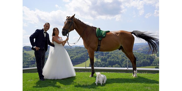 Hochzeitsfotos - Copyright und Rechte: Bilder dürfen bearbeitet werden - Leopoldsdorf (Leopoldsdorf) - Hochzeit mit Pferd & Hund in Gambitz - Fink Pictures by Iris Fink 