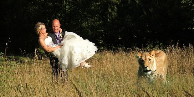 Hochzeitsfotos - Copyright und Rechte: Bilder auf Social Media erlaubt - Nordrhein-Westfalen - Katja Schildheuer
