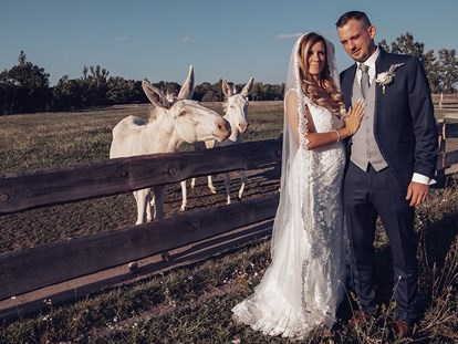 Hochzeitsfotos - Fotobox mit Zubehör - Preding (Preding) - Wedding Paradise e.U. Professional Wedding Photographer