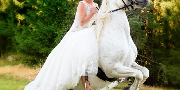 Hochzeitsfotos - Copyright und Rechte: Bilder auf Social Media erlaubt - PLZ 9863 (Österreich) - Fotostudio Fritz