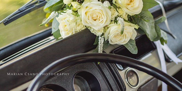 Hochzeitsfotos - Art des Shootings: Fotostory - Ottenschlag (Ottenschlag) - Marian Csano