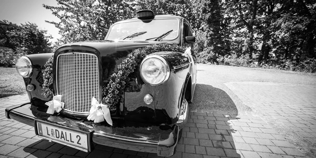 Hochzeitsfotos - Fotobox alleine buchbar - Zwettl an der Rodl - Roman Gutenthaler