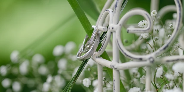 Hochzeitsfotos - zweite Kamera - Bonn - Hochzeit im Botanischen Garten, Wuppertal. - René Warich Photography