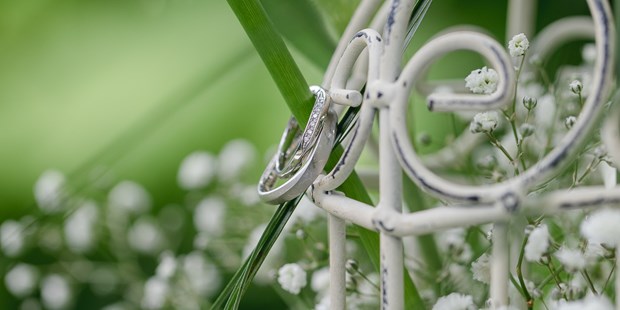 Hochzeitsfotos - Fotobox mit Zubehör - Borken (Schwalm-Eder-Kreis) - Hochzeit im Botanischen Garten, Wuppertal. - René Warich Photography