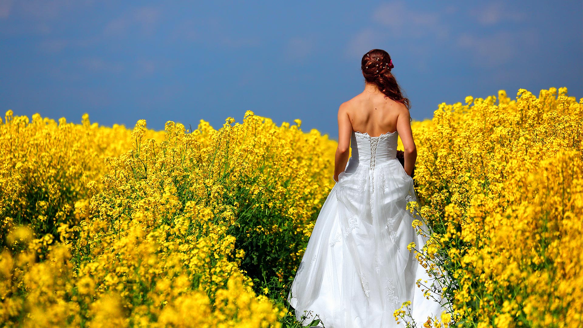 Hochzeitsfotograf - Wir lieben es fröhlich und bunt :) - Jan Braun