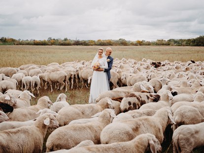 Hochzeitsfotos - Bütow - Fotograf David Kohlruss