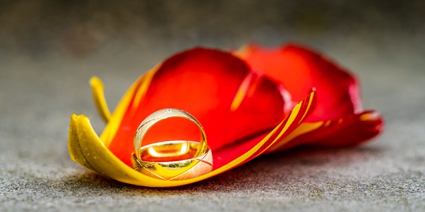 Hochzeitsfotos - Copyright und Rechte: Bilder auf Social Media erlaubt - Ibbenbüren - T & P Fotografie