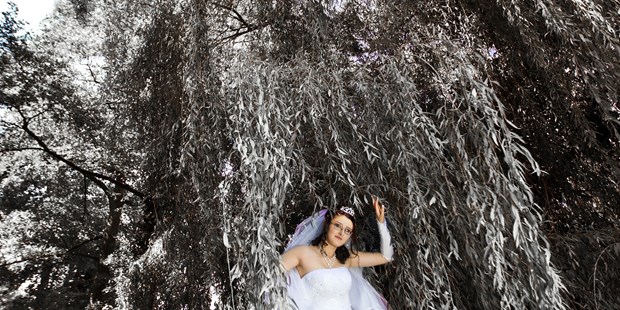 Hochzeitsfotos - Copyright und Rechte: Bilder dürfen bearbeitet werden - Abbenrode - Studio Zenit Klassen