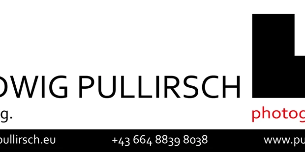 Hochzeitsfotos - Fotostudio - Loosdorf (Fallbach) - LUDWIG PULLIRSCH photography - Ludwig Pullirsch