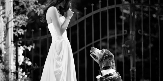 Hochzeitsfotos - Copyright und Rechte: Bilder dürfen bearbeitet werden - Aglassing - skyphoto · Atelier für Fotografie