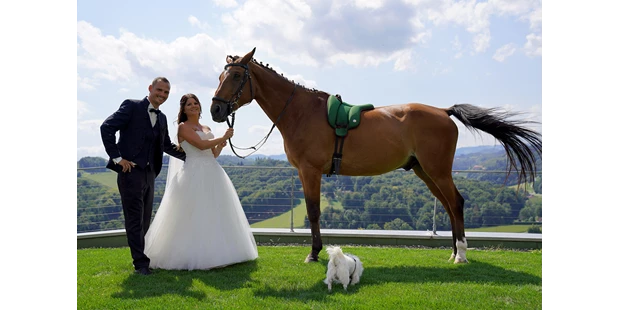 Hochzeitsfotos - Berufsfotograf - Neuhof (Ottenschlag) - Hochzeit mit Pferd & Hund in Gambitz - Fink Pictures by Iris Fink 