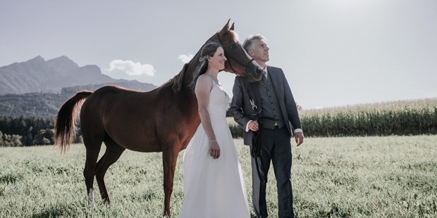 Hochzeitsfotos - Copyright und Rechte: Bilder auf Social Media erlaubt - Mondsee - Hochzeitsshooting mit Araberstute Mystery - Shots Of Love - Barbara Weber Photography