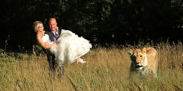Hochzeitsfotos - Berufsfotograf - PLZ 34379 (Deutschland) - Katja Schildheuer