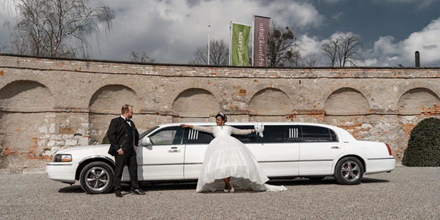 Hochzeitsfotos - Berufsfotograf - Geismar - Dimitry Manz