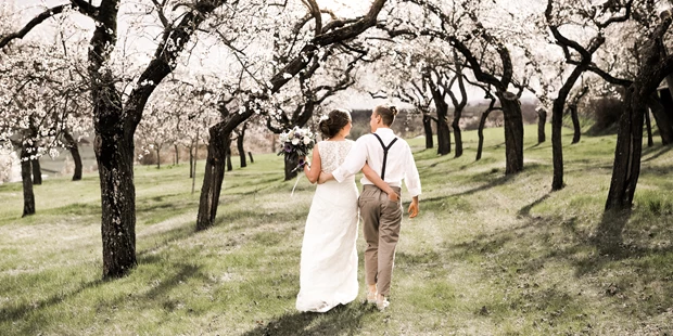 Hochzeitsfotos - Copyright und Rechte: Bilder auf Social Media erlaubt - Eggenburg - Tina Vega-Wilson