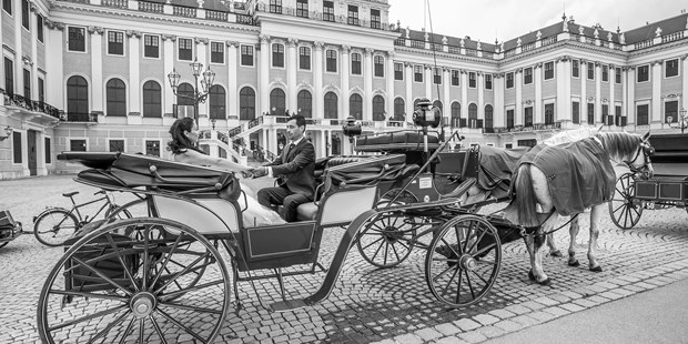 Hochzeitsfotos - Art des Shootings: Trash your Dress - Wien-Stadt Wien - Ideal Foto