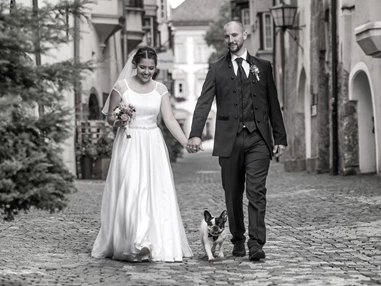 Hochzeitsfotograf: Danijel Jovanovic Photography