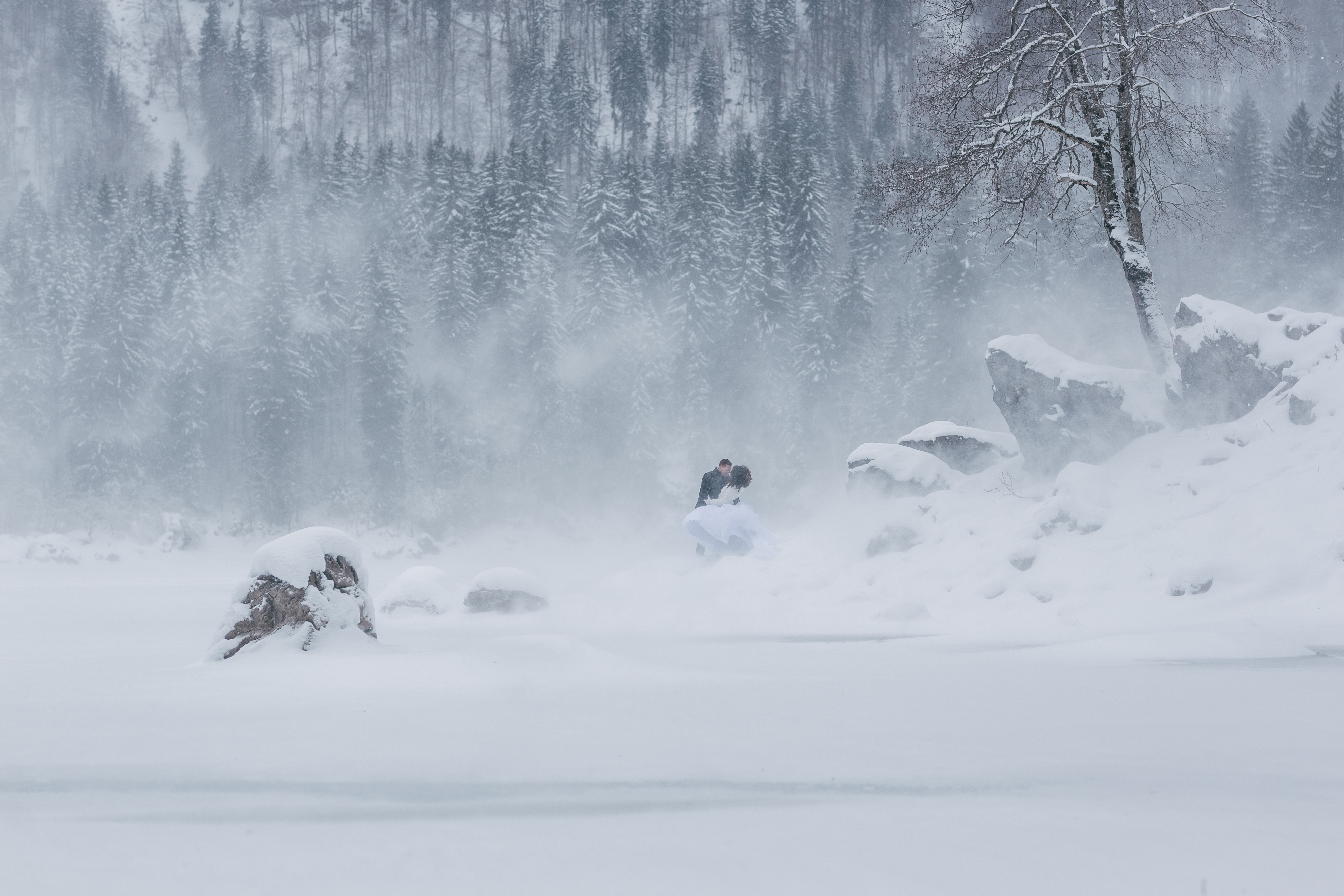 Hochzeitsfotos - Copyright und Rechte: Bilder frei verwendbar - Augsburg - Mate Nemeth