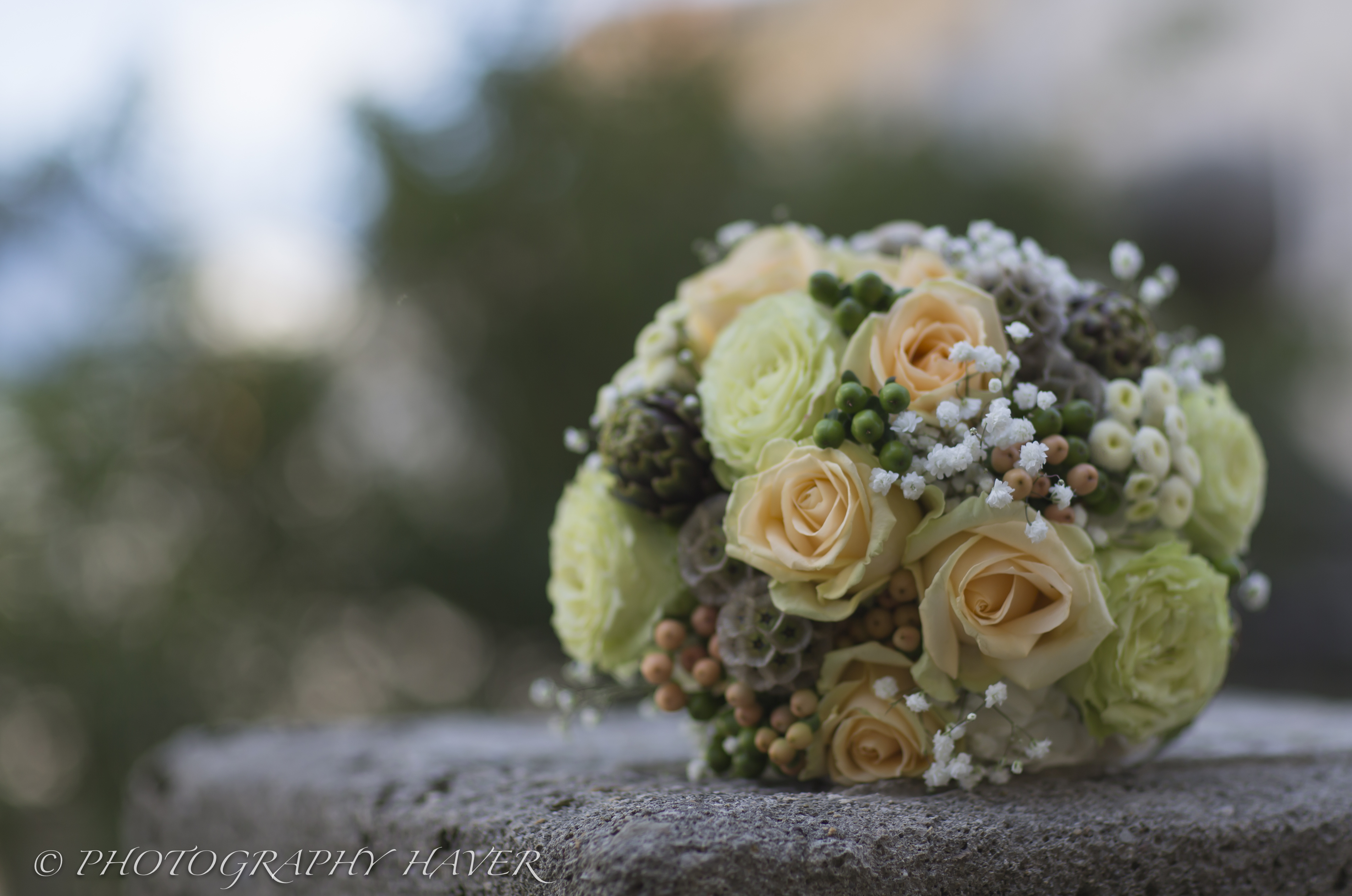 Hochzeitsfotograf: Vincent Haver 