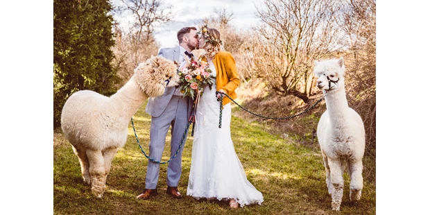Hochzeitsfotos - Art des Shootings: Trash your Dress - Maria-Lanzendorf - Alpaka Hochzeit - Mahlzeit - Uwe Rustenbeck Photography