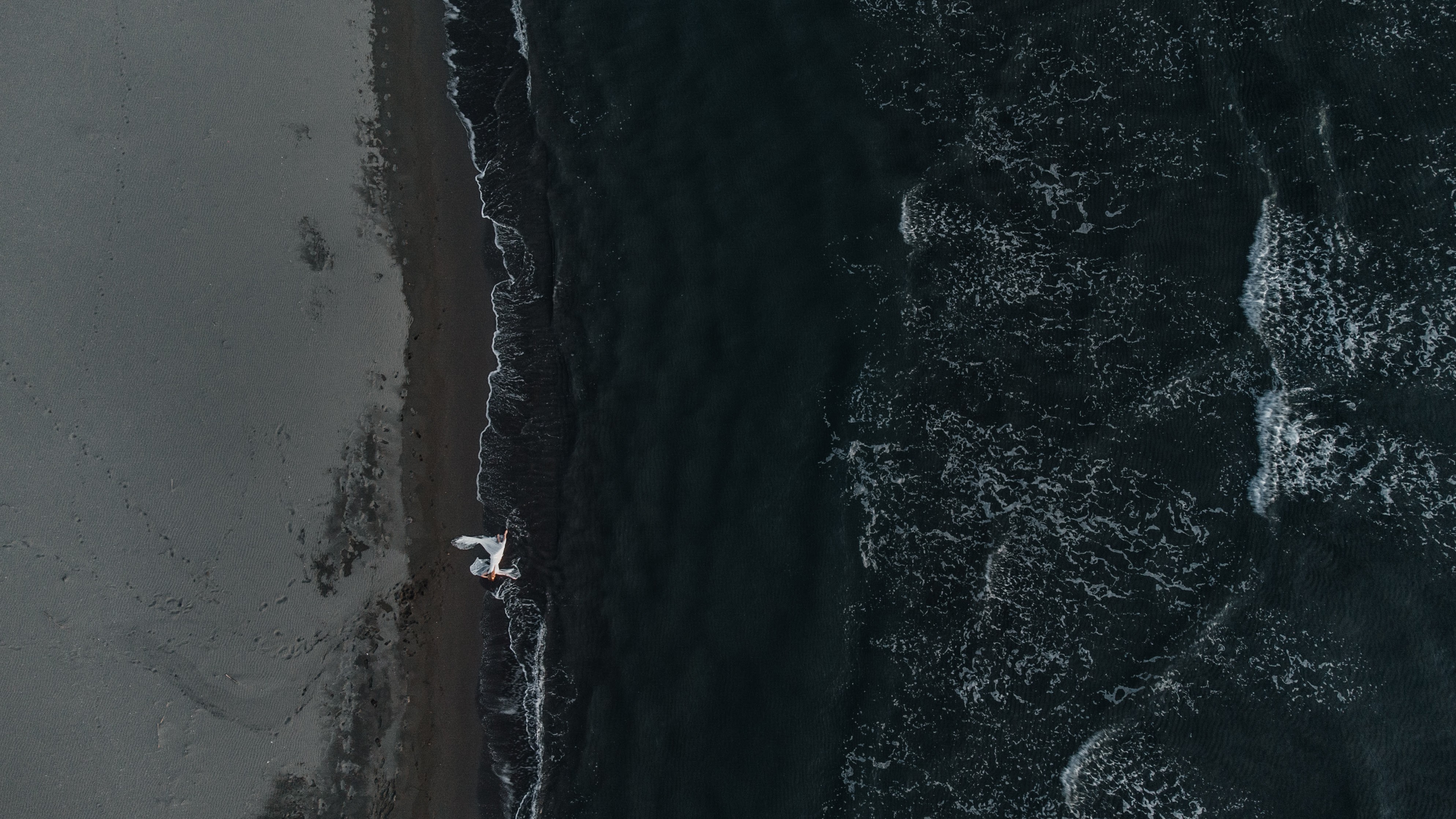 Hochzeitsfotograf: Pavel Lepeshev