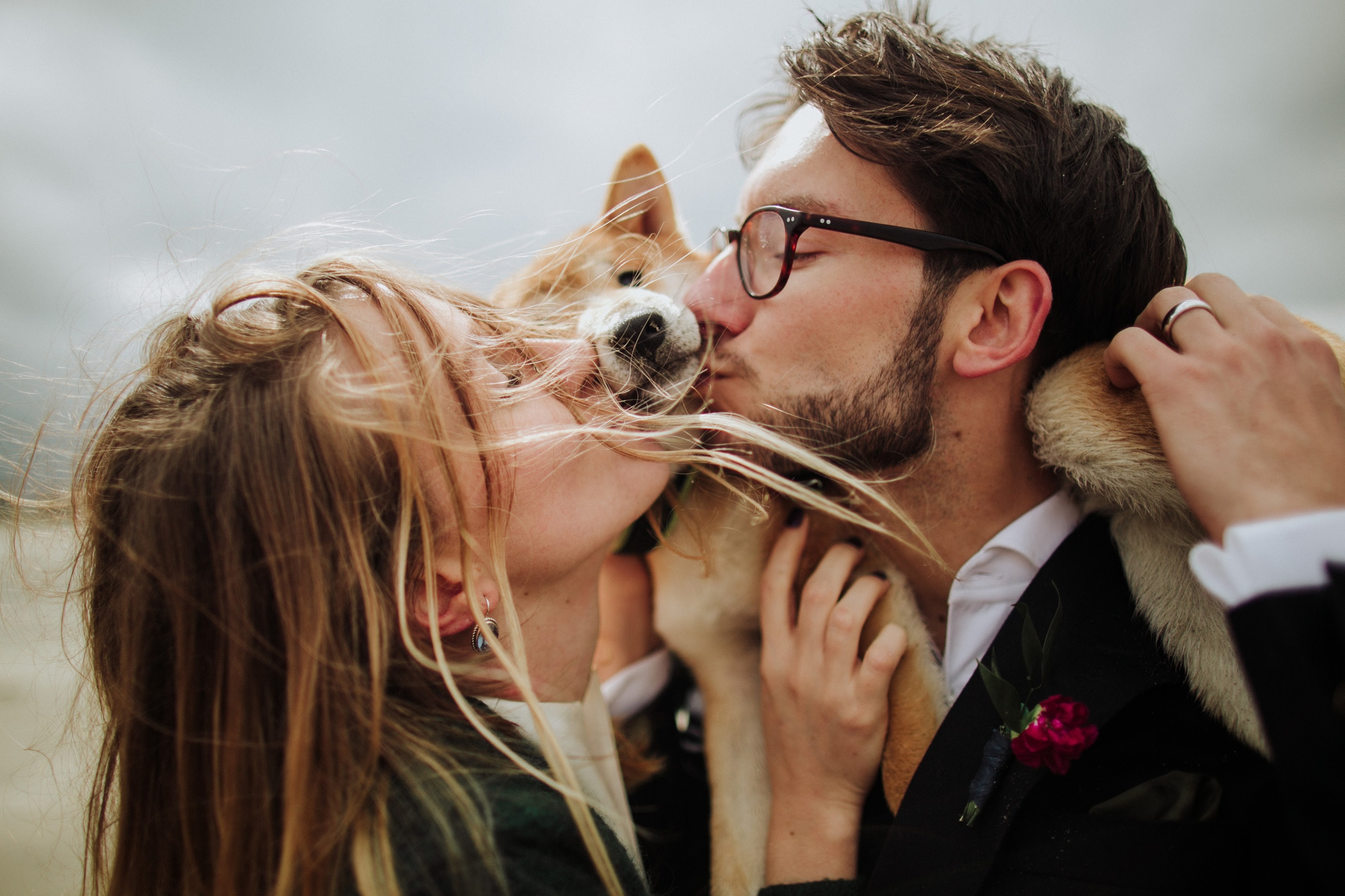 Hochzeitsfotograf: Pavel Lepeshev