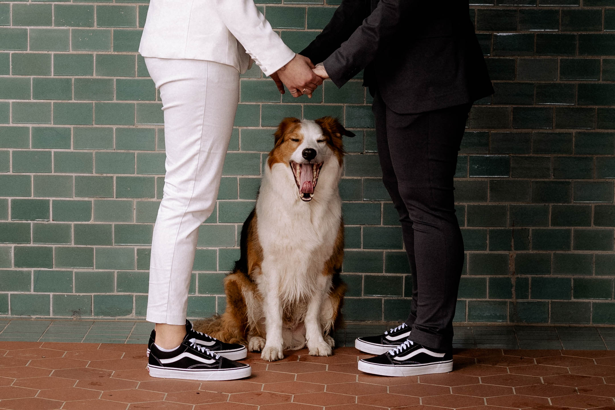 Hochzeitsfotos - Fotostudio - Chemnitz - Moments by Miri