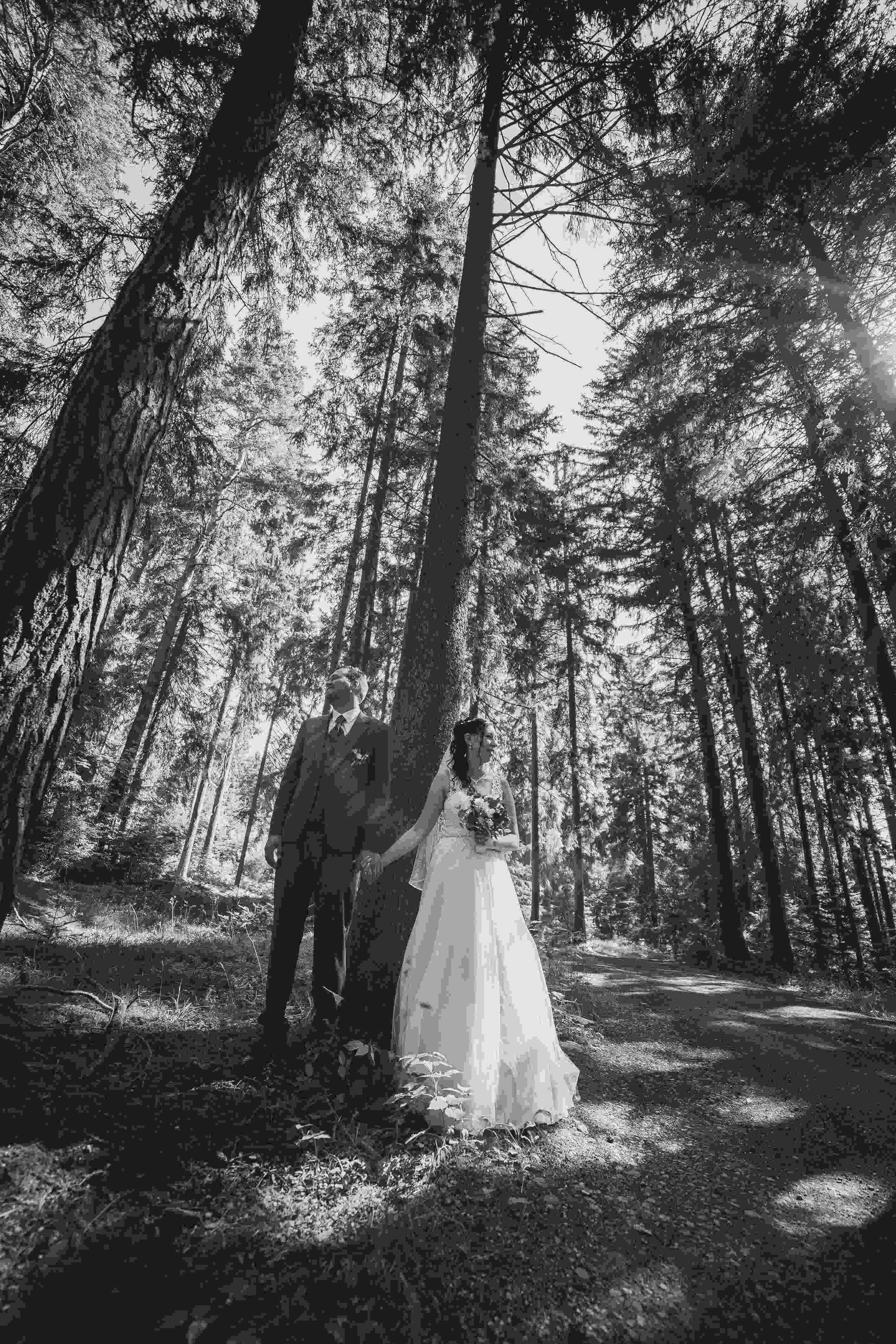 Hochzeitsfotograf: Liebe mit Licht Fotografie