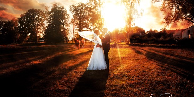 Hochzeitsfotos - Art des Shootings: Fotostory - Spantekow - Grüneberg - Alexandra Bartz Photography