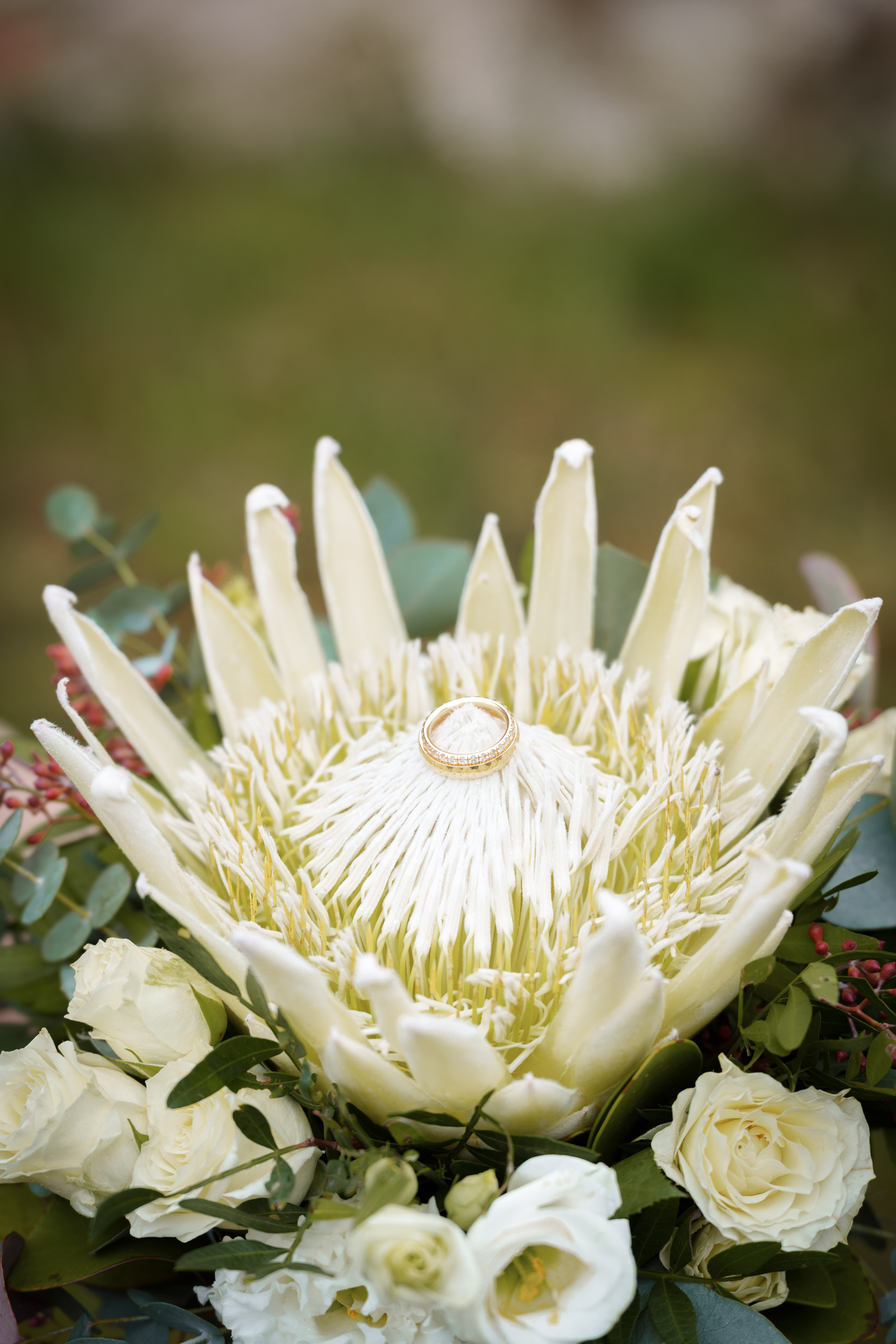 Hochzeitsfotograf: Sonderfarbe Fotografie