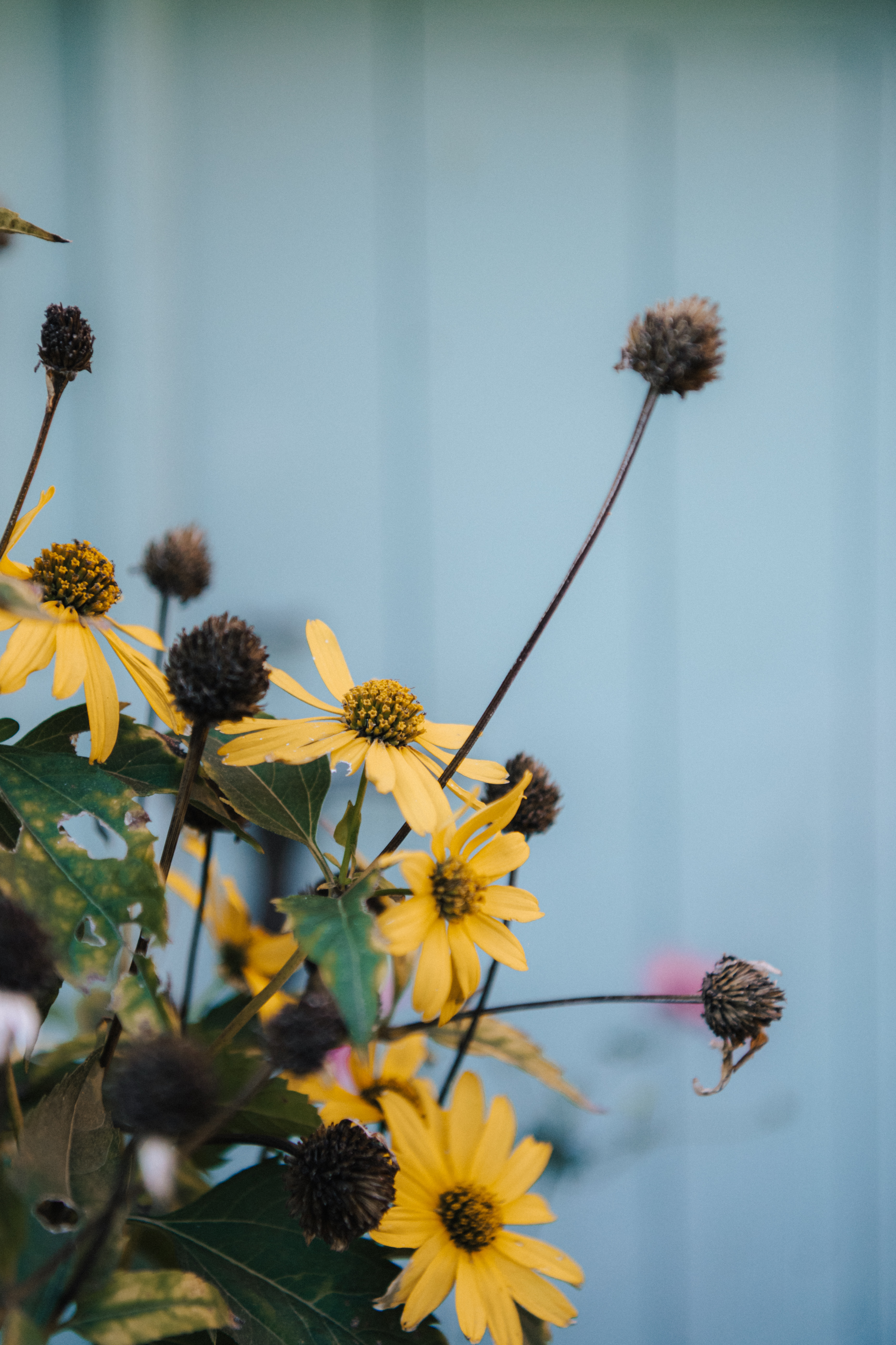 Hochzeitsfotograf: aenys weddings