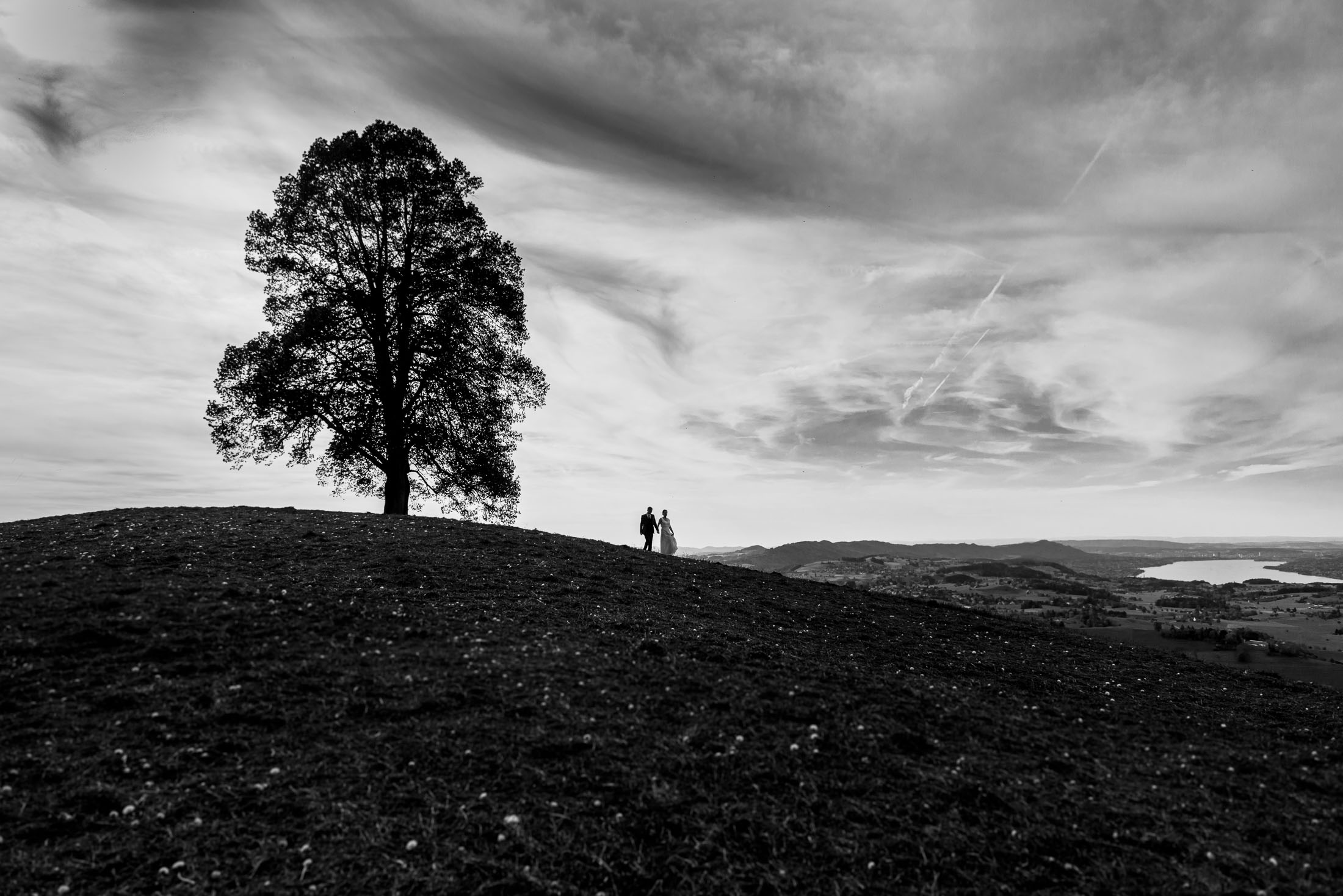 Hochzeitsfotograf: Richard Haydon Photography