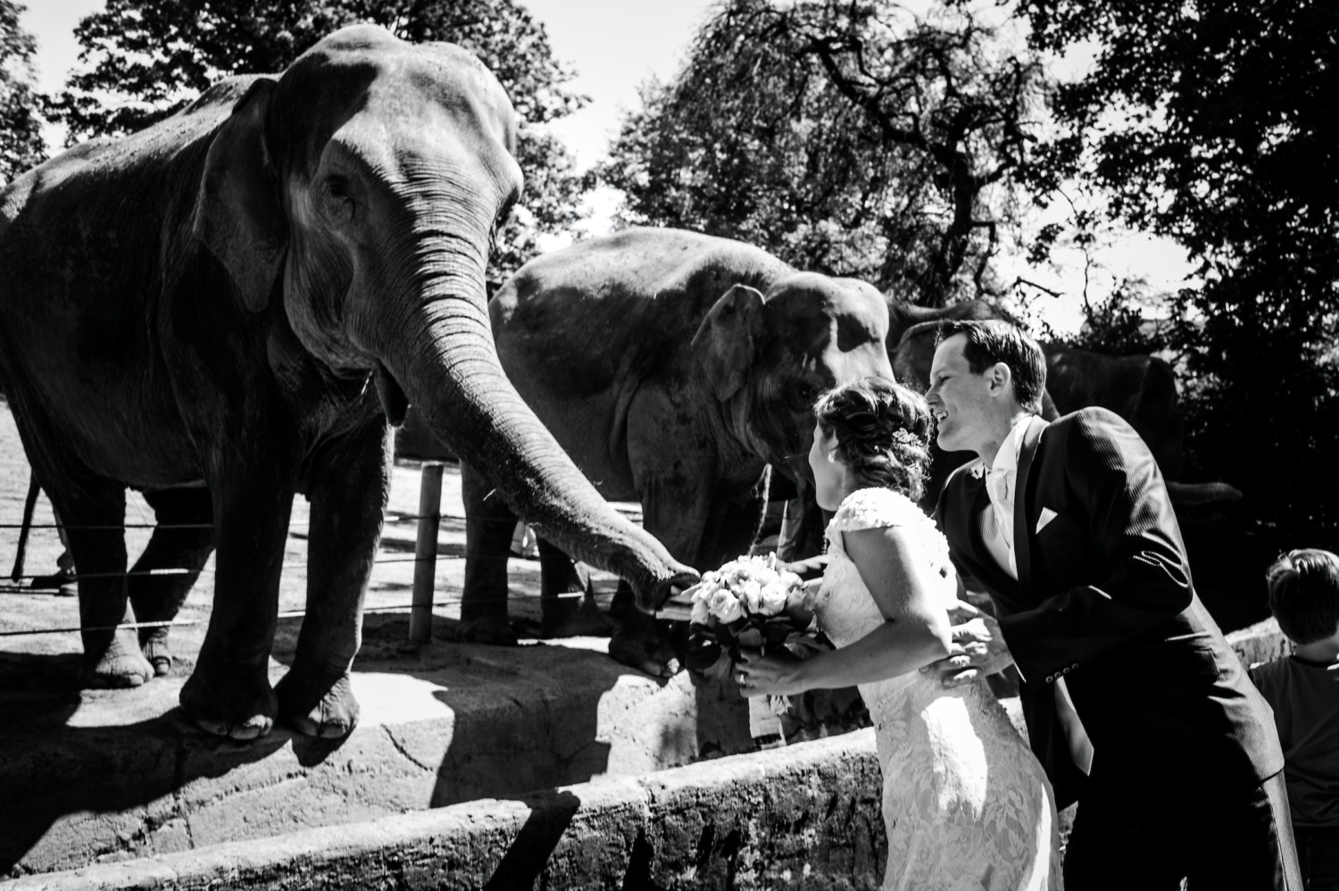 Hochzeitsfotos - Art des Shootings: Portrait Hochzeitsshooting - Wolfsburg - GOLDENE ZEITEN PHOTOGRAPHIE