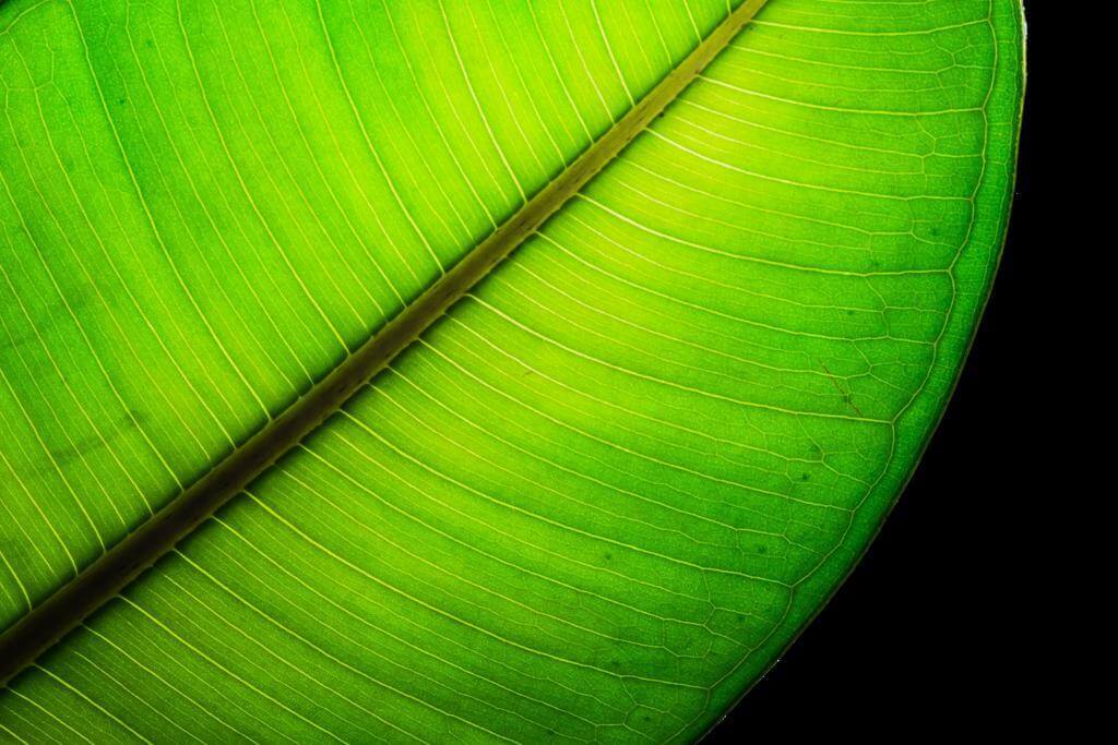 Hochzeitsfotograf: Christoph Cejka