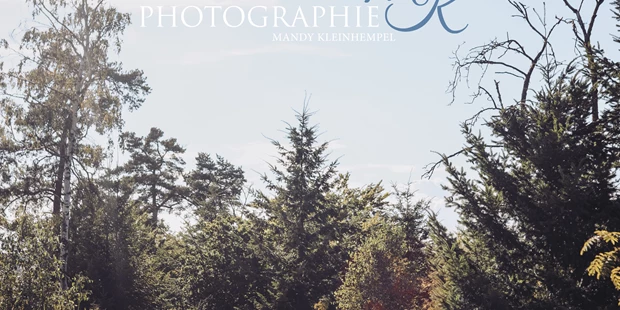 Hochzeitsfotos - Fotostudio - Naumburg (Burgenlandkreis) - Photographie Kleinhempel
