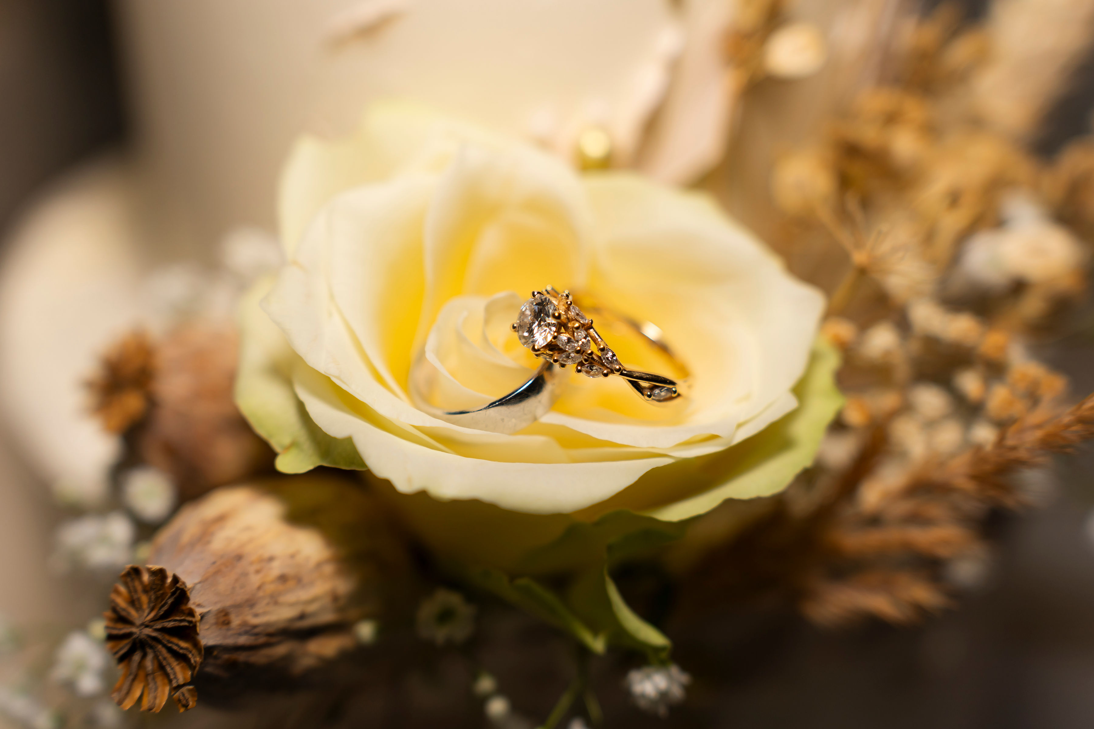 Hochzeitsfotos - Art des Shootings: Fotostory - Sauerland - Angelo Vella Photography 