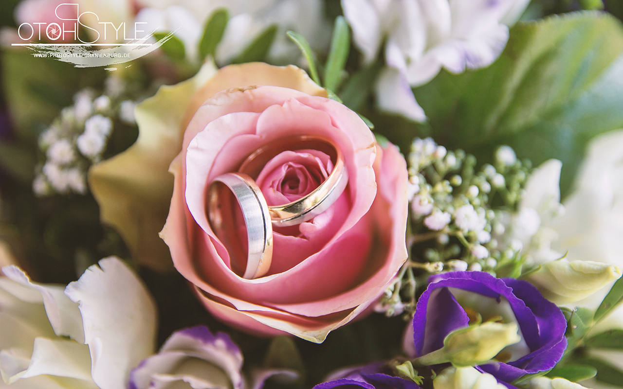 Hochzeitsfotos - Berufsfotograf - Velten - Photo Style