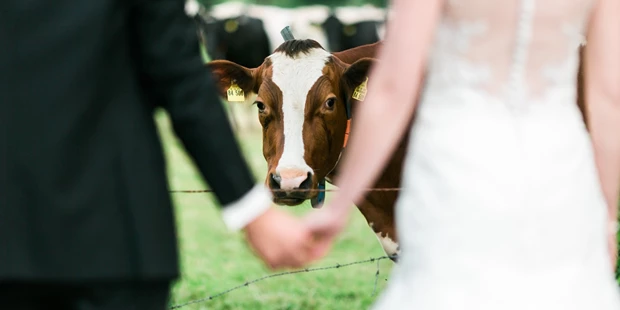 Hochzeitsfotos - PLZ 56459 (Deutschland) - Hochzeitsfotograf Thorsten Hennig