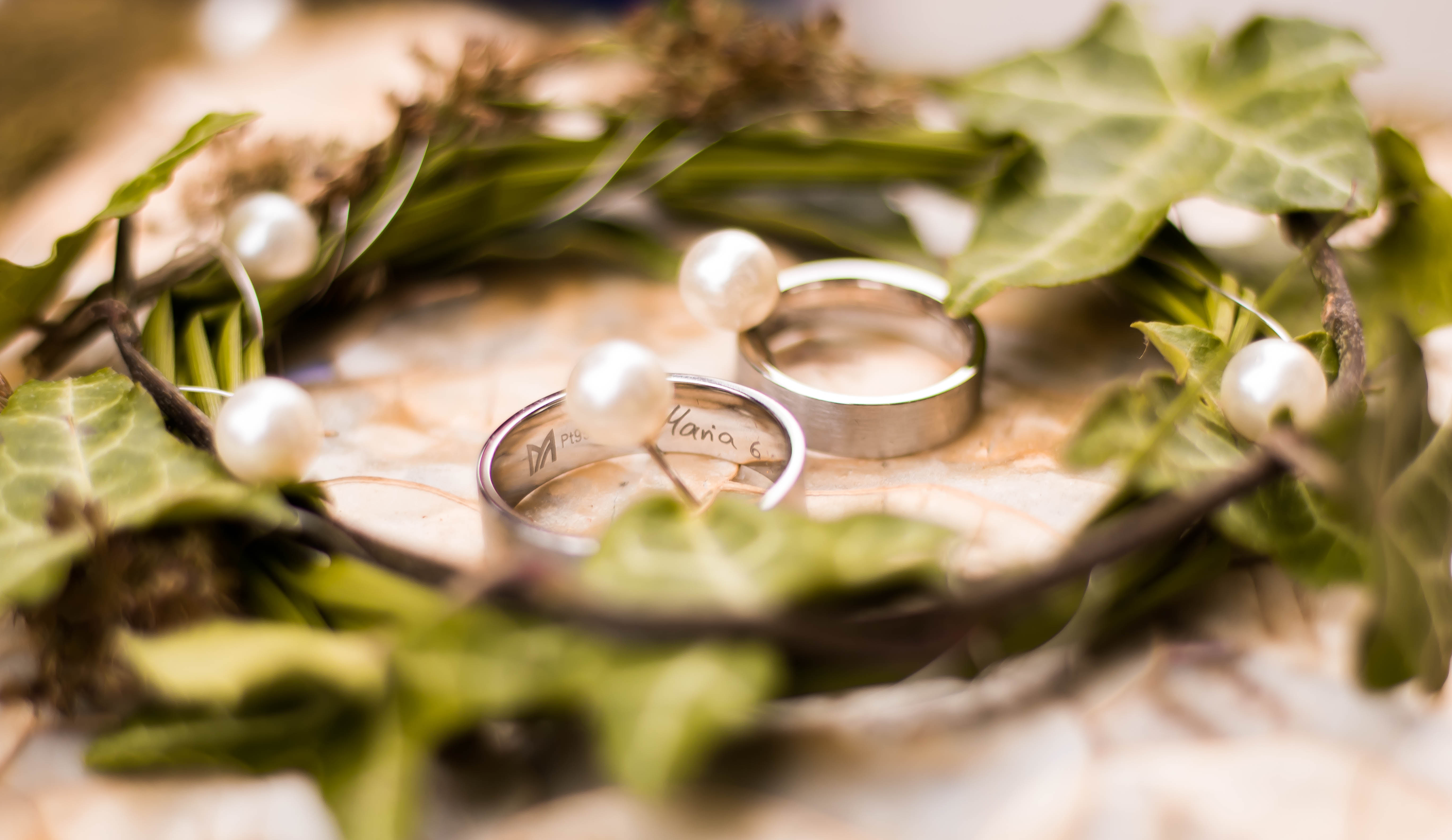 Hochzeitsfotograf: Salih Kuljancic Fotografie