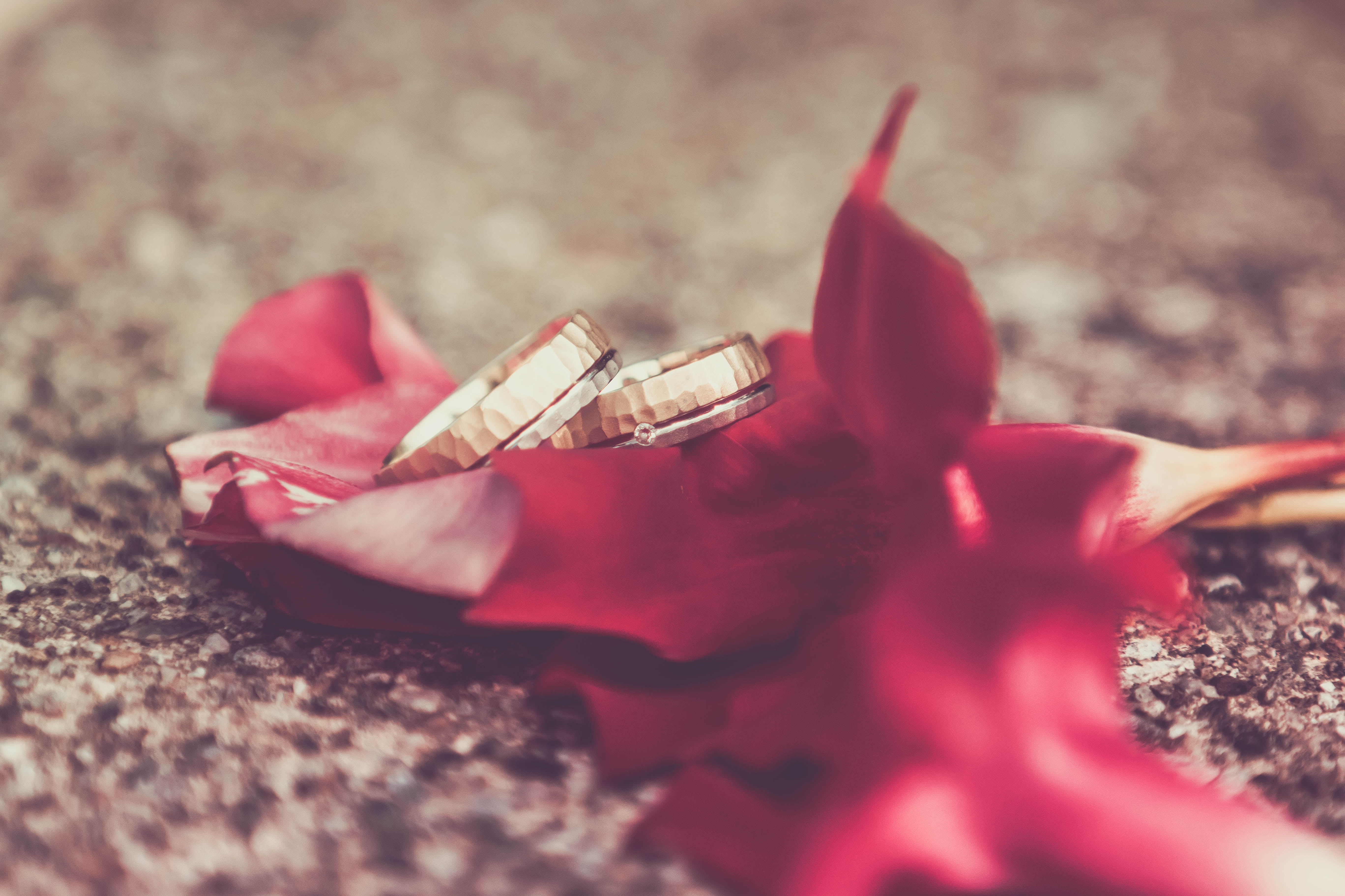 Hochzeitsfotograf: Salih Kuljancic Fotografie