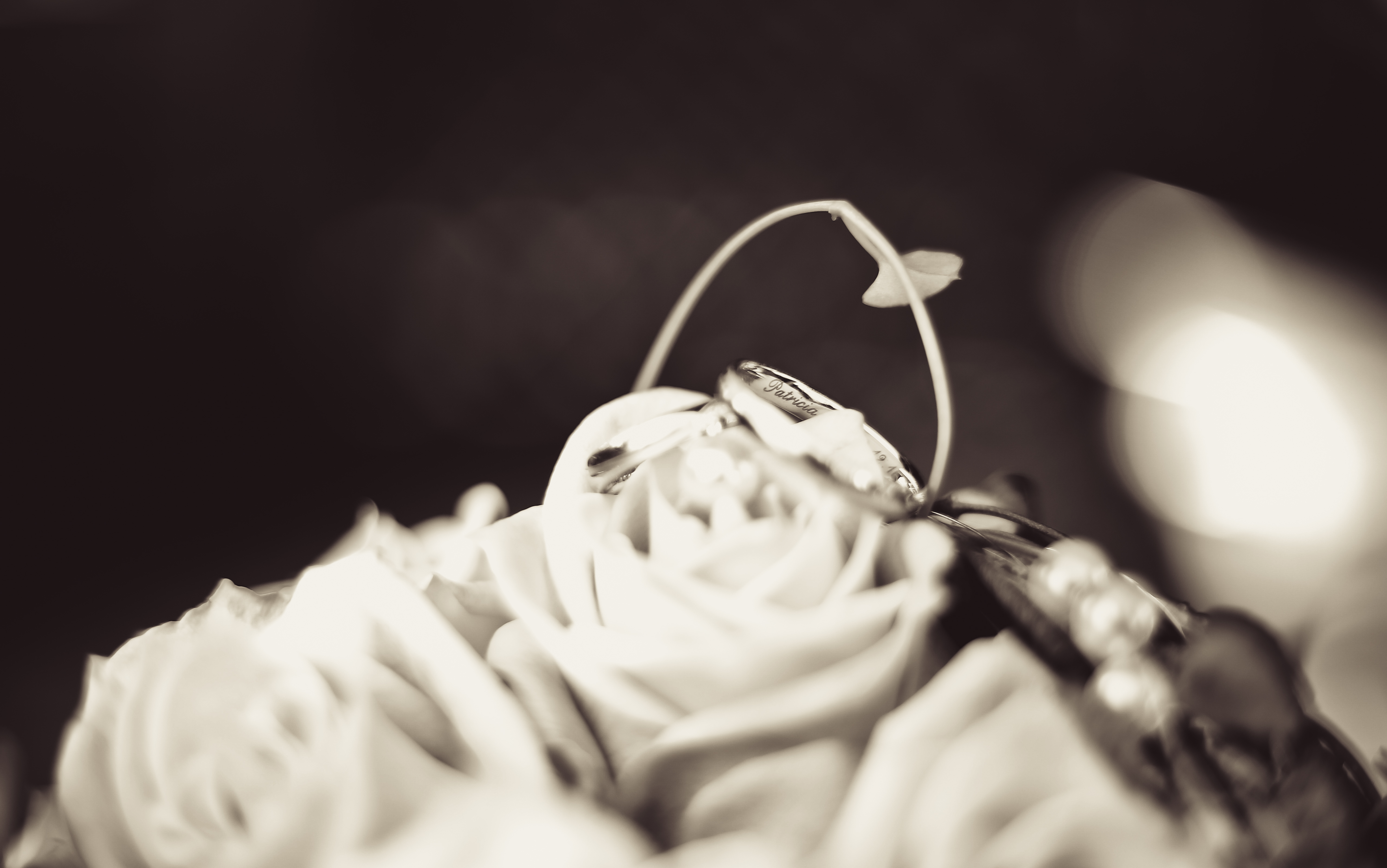 Hochzeitsfotograf: Salih Kuljancic Fotografie