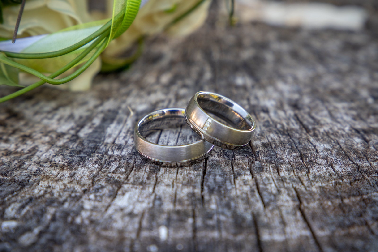 Hochzeitsfotos - PLZ 93152 (Deutschland) - Kerstin Jakobs Fotografie