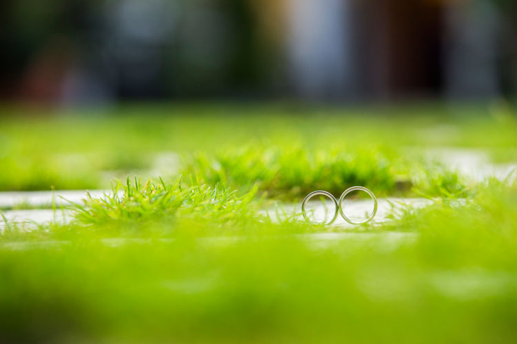 Hochzeitsfotos - Fotostudio - Leopoldsdorf (Leopoldsdorf) - Pestuka Productionstudio