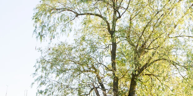 Hochzeitsfotos - Art des Shootings: Prewedding Shooting - Gumpoldskirchen - JÄNEN Fotografie