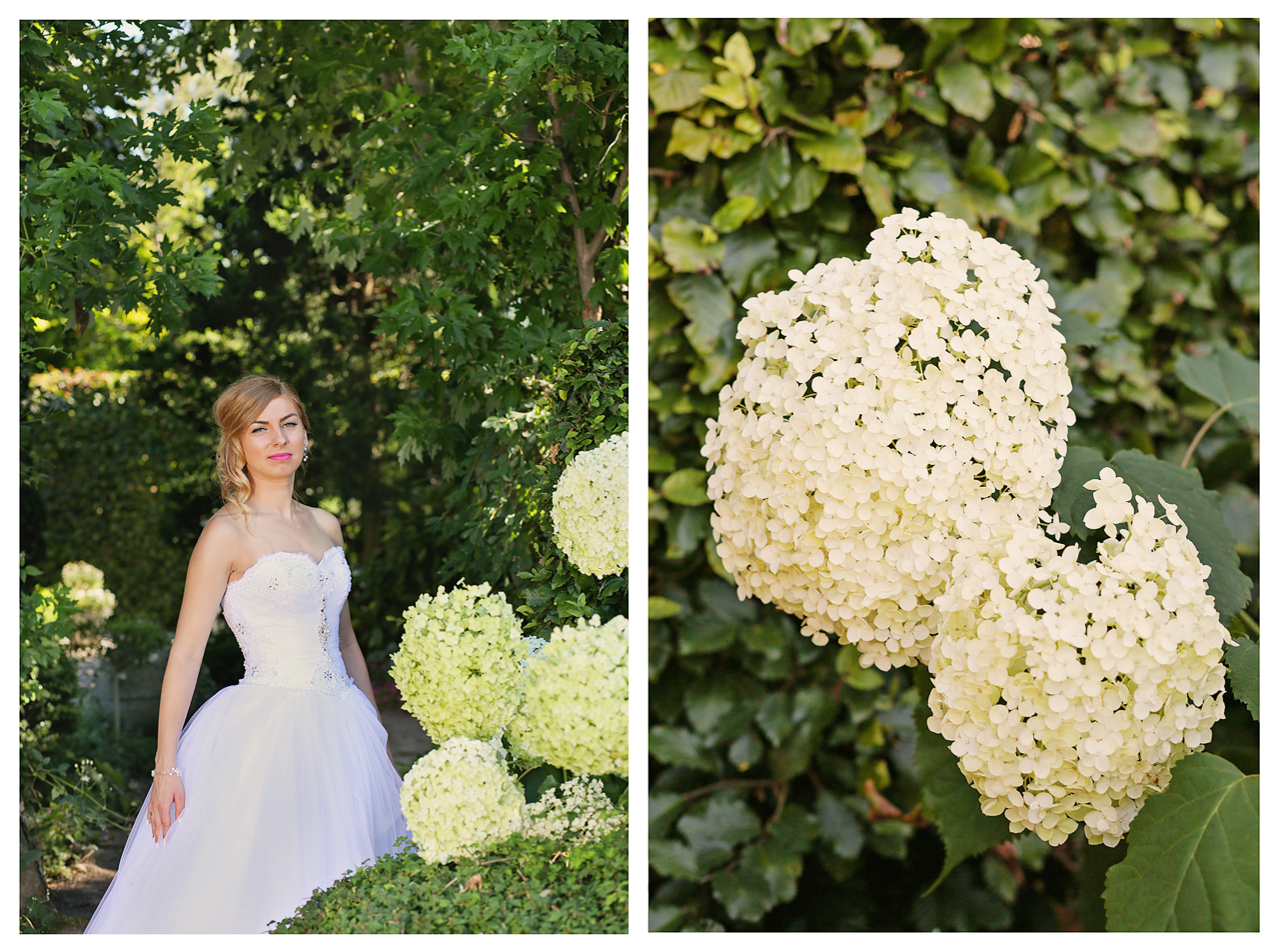 Hochzeitsfotograf: Iwona Aleksandrowicz