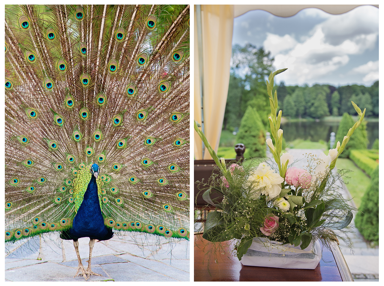 Hochzeitsfotograf: Iwona Aleksandrowicz