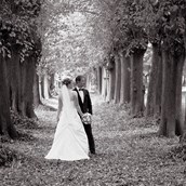 Hochzeitsfotograf - Paarshooting im Park - Herr und Frau Beichert Hochzeits-Fotografen